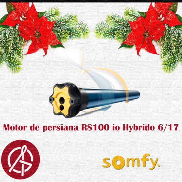 Motor de persiana RS100 io Hybrido 6/17