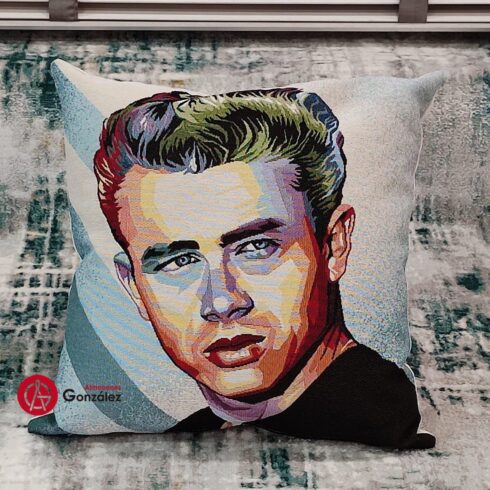 Cojín gobelinos James Dean