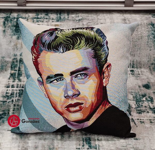 Cojín gobelinos James Dean